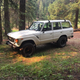 One of the seller’s glamour shots. It worked.